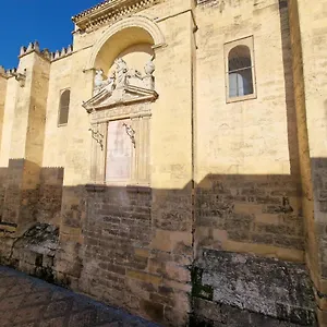  Apartamento Ds En Plena Mezquita, Con Vistas